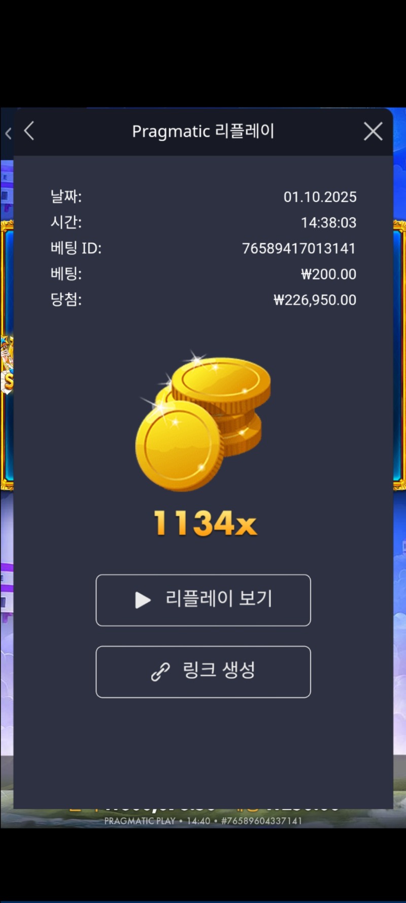 공주1 1134배