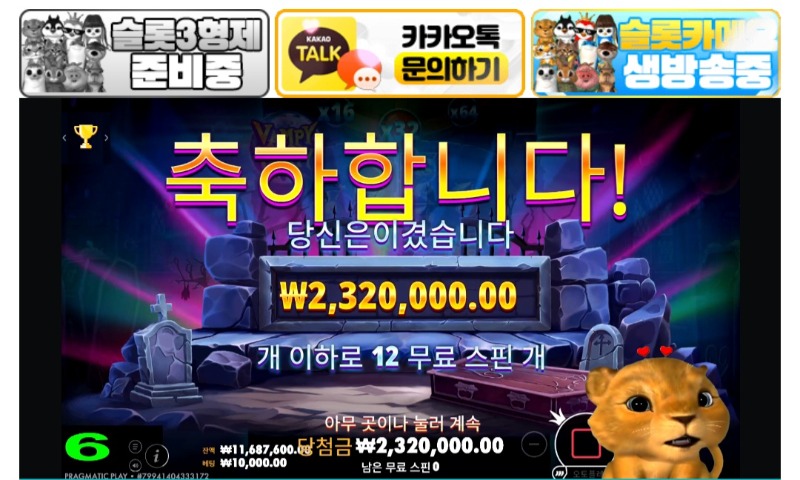 사자 최배비결과공유~