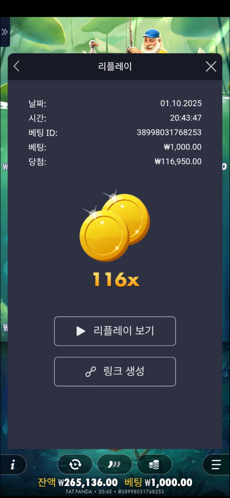 해피 넷 116배
