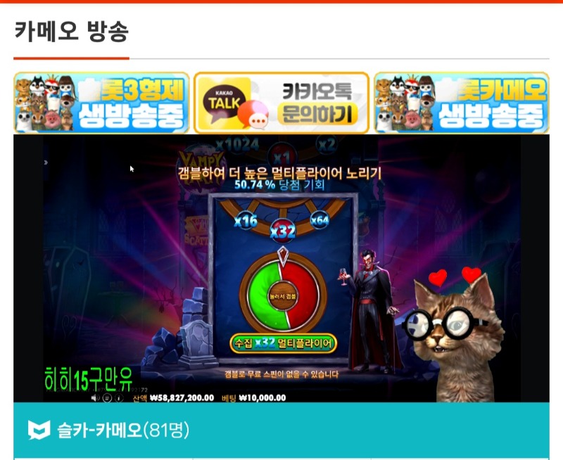 최배비 막내양이형결과공유