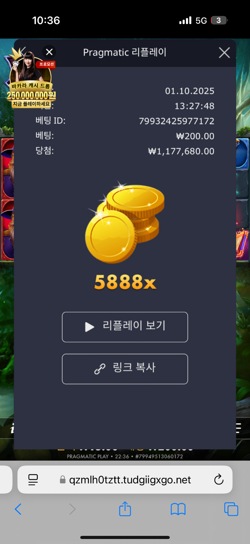 멀린 5888배