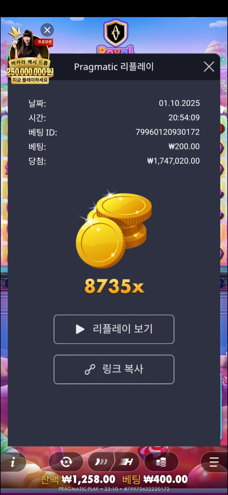 로얄슈천 8735배