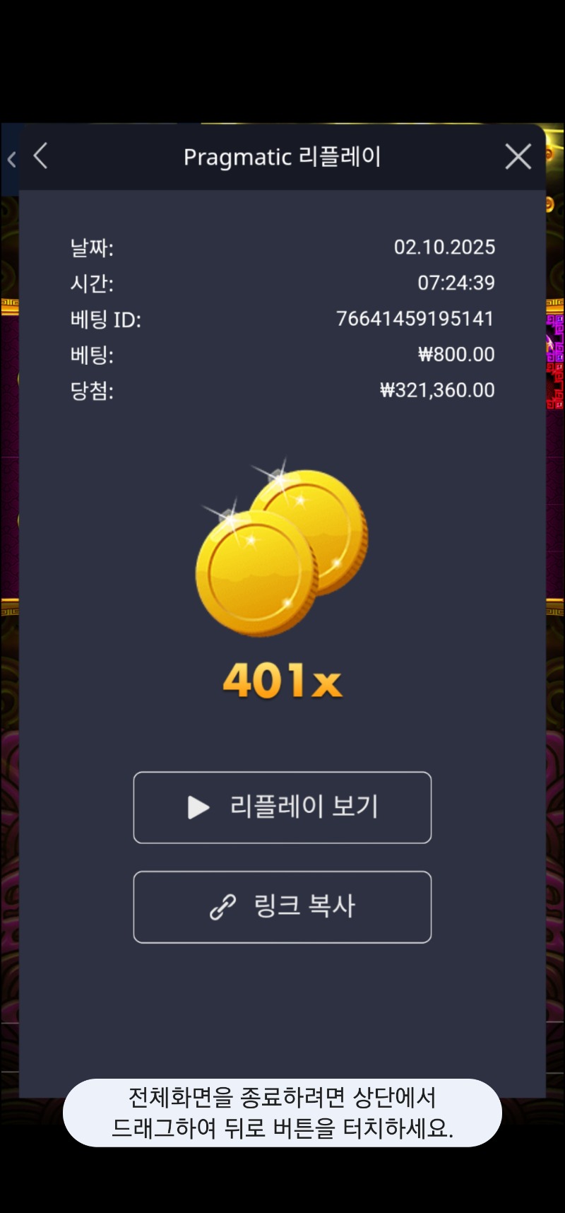 토라메 401배
