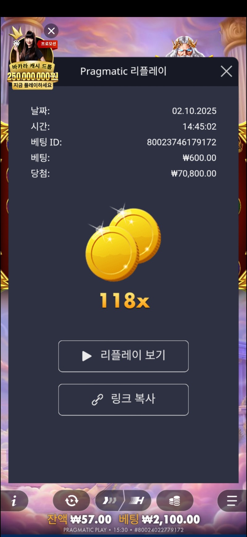 오늘의배당 참여합니다