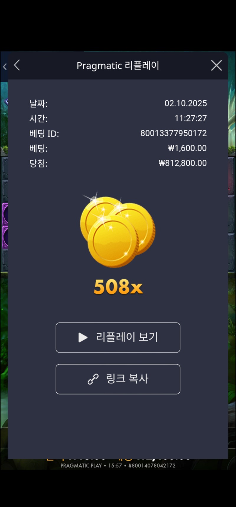 멀린508배