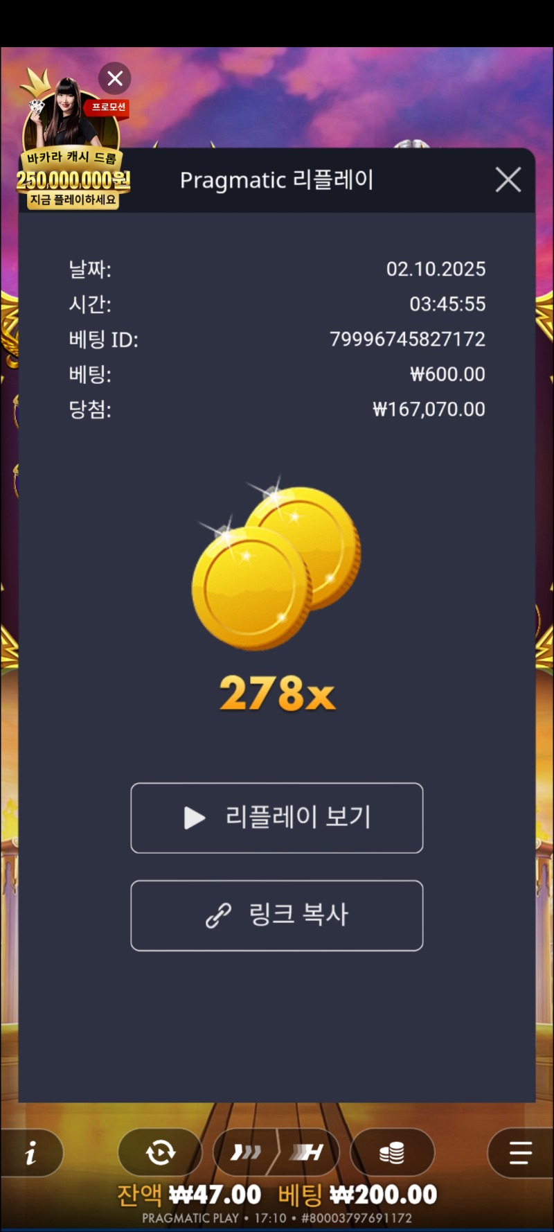 올림푸스1000    278배