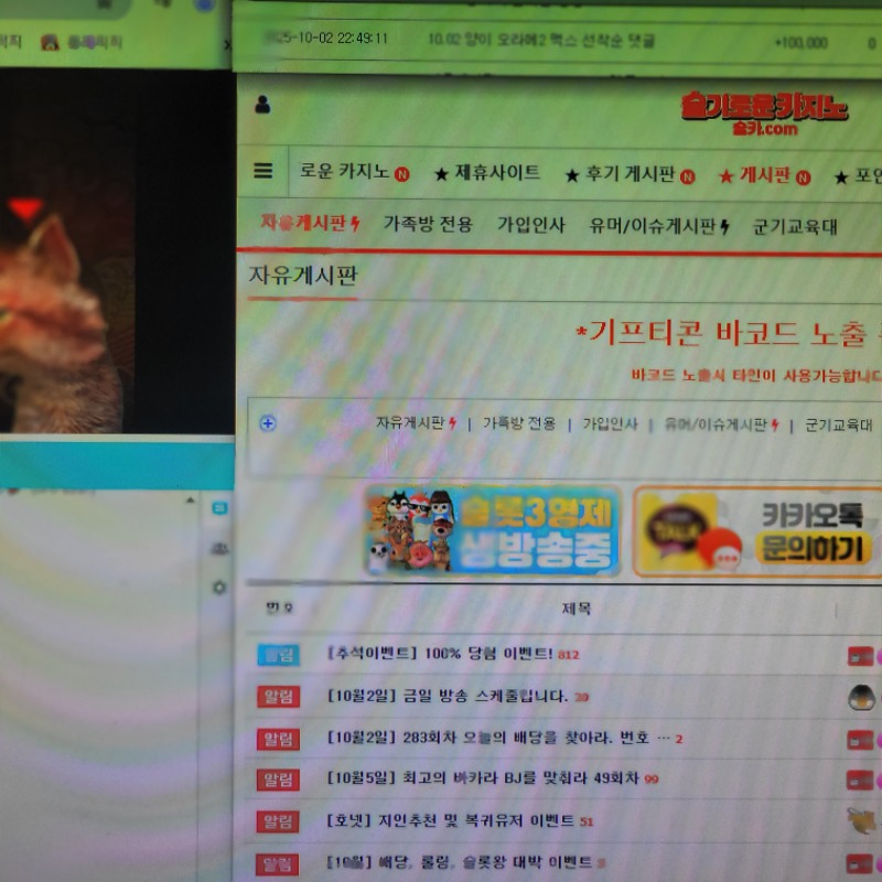 막내양이형 맥스기념 후기선착슬포♡