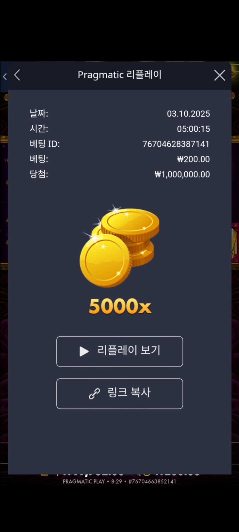 토라매 맥스 다시올립니다