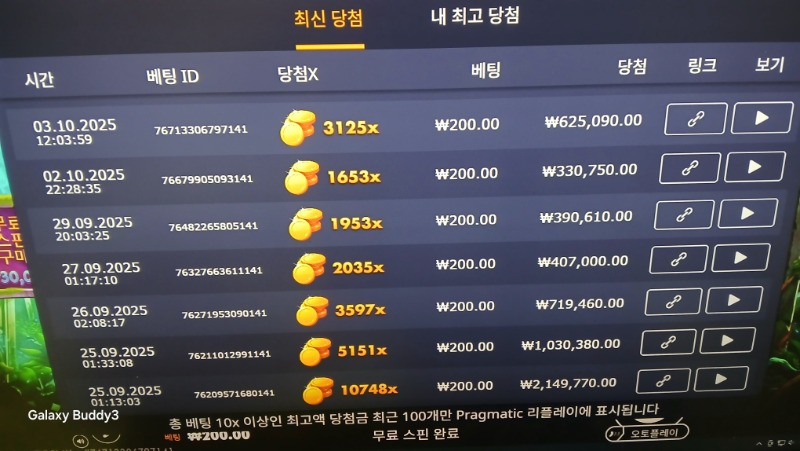 멀린3125배