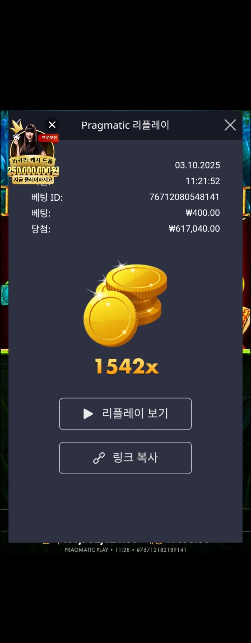 팬더 1542x