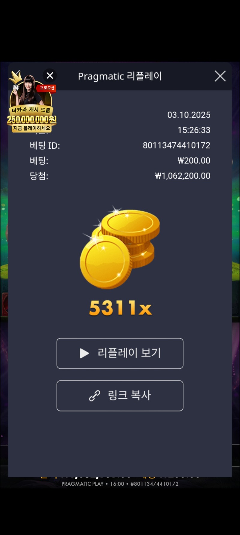 멀린5000