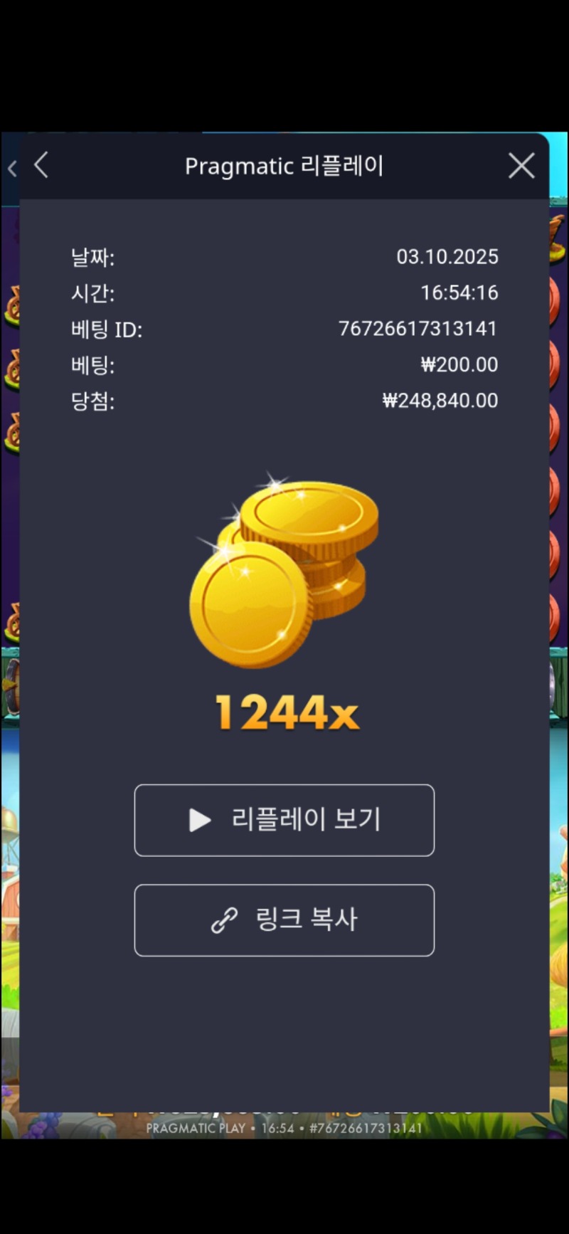 토끼의정원1224배