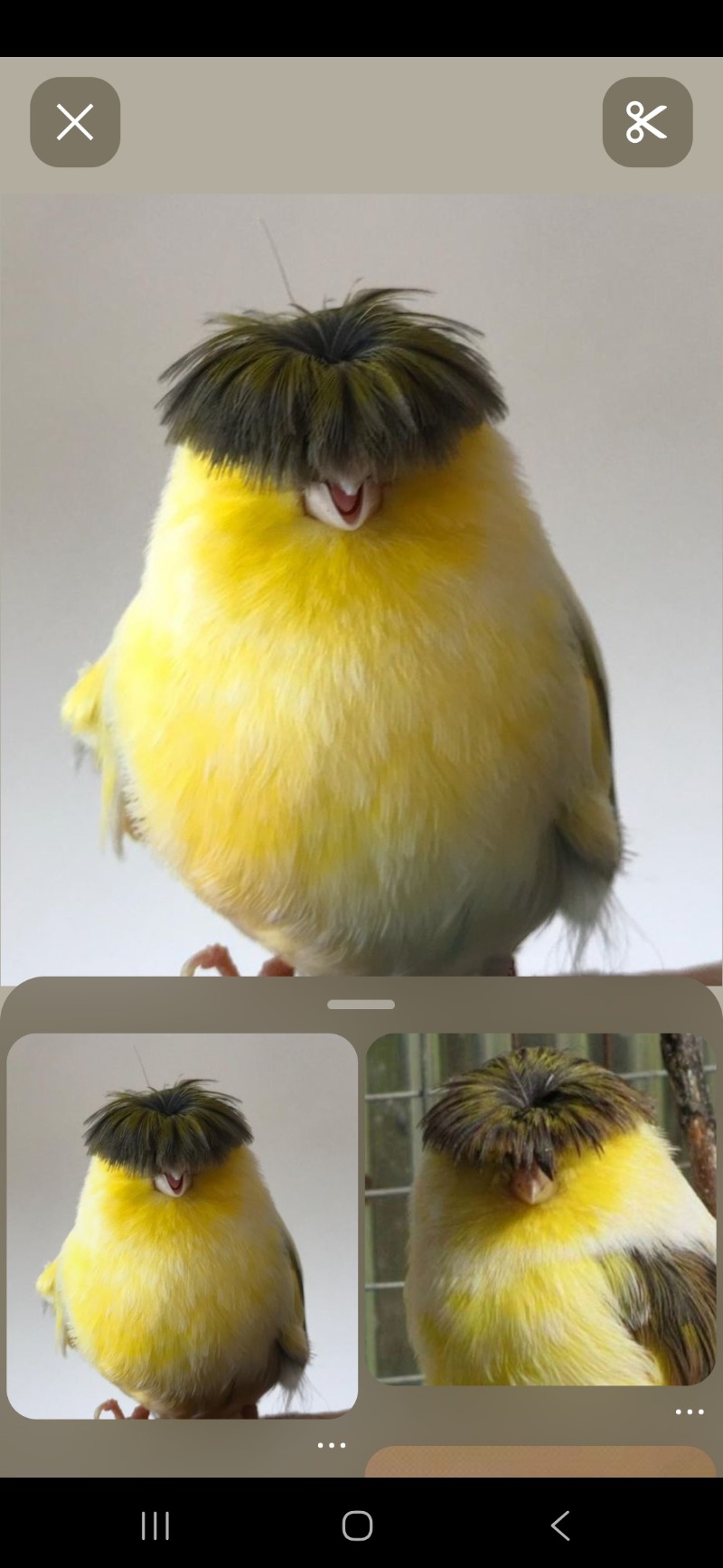 오늘 벙이.. ㅋㅋㄱ