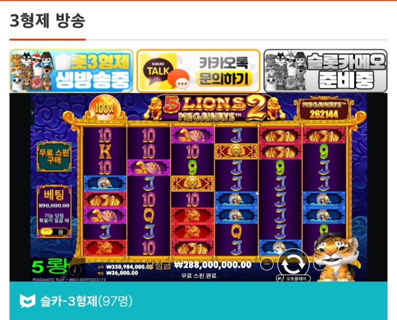 어젠 물개추천맥스 오늘은 랑이추천 오투맥스터지네요ㅎㅎ