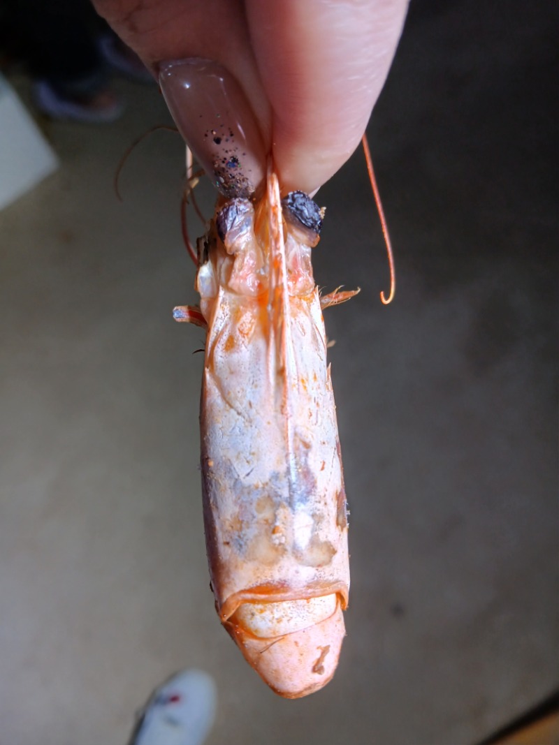 오늘도~비오네
