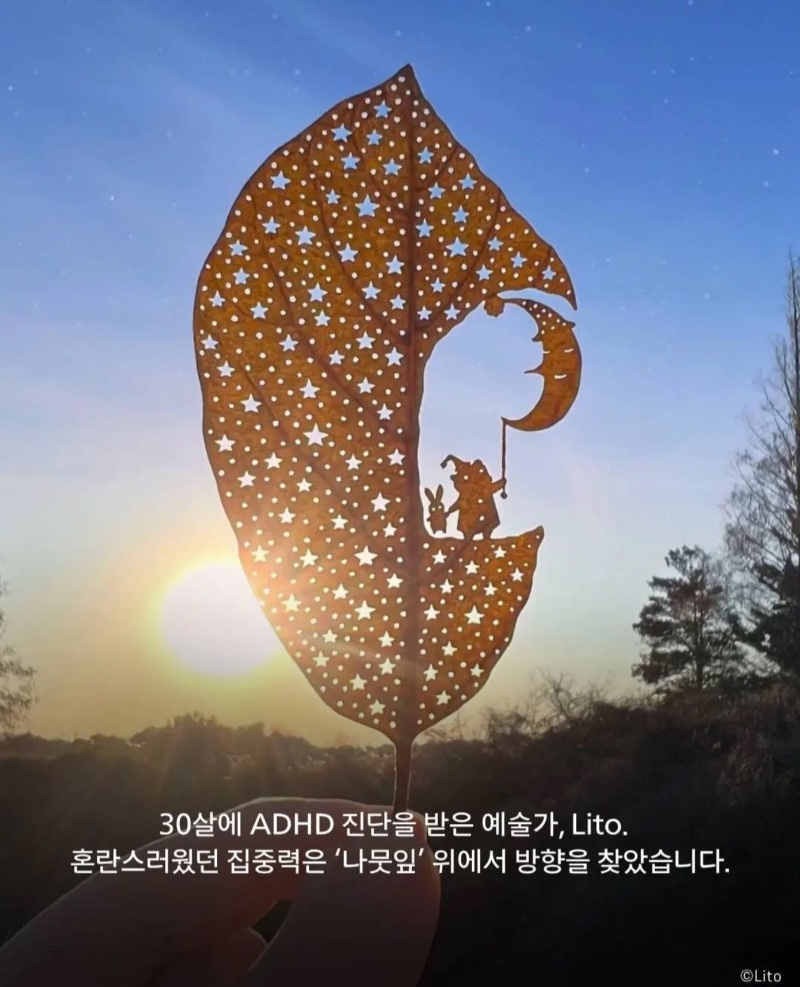 나뭇잎 예술