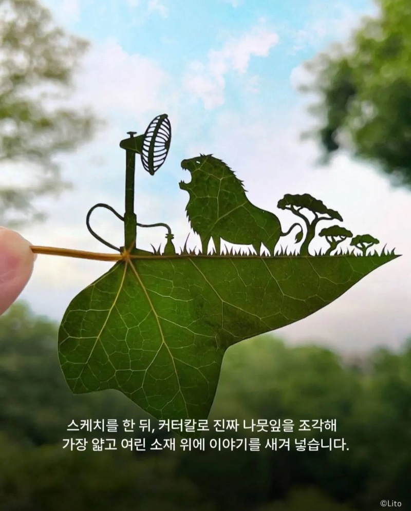 나뭇잎 예술