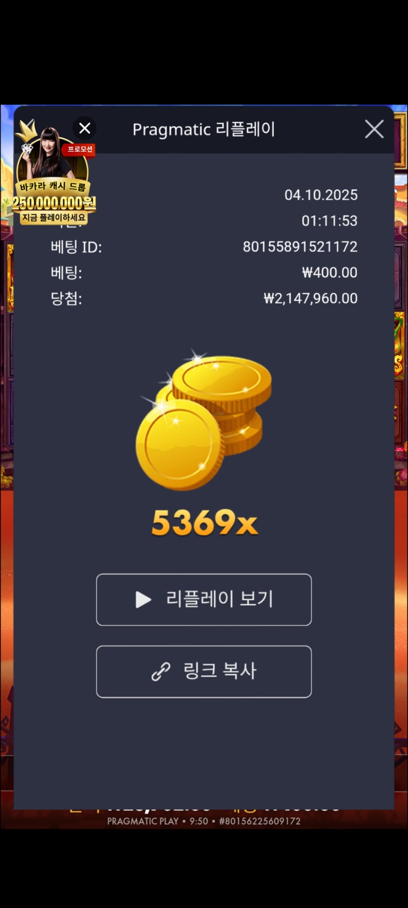 무에르5369