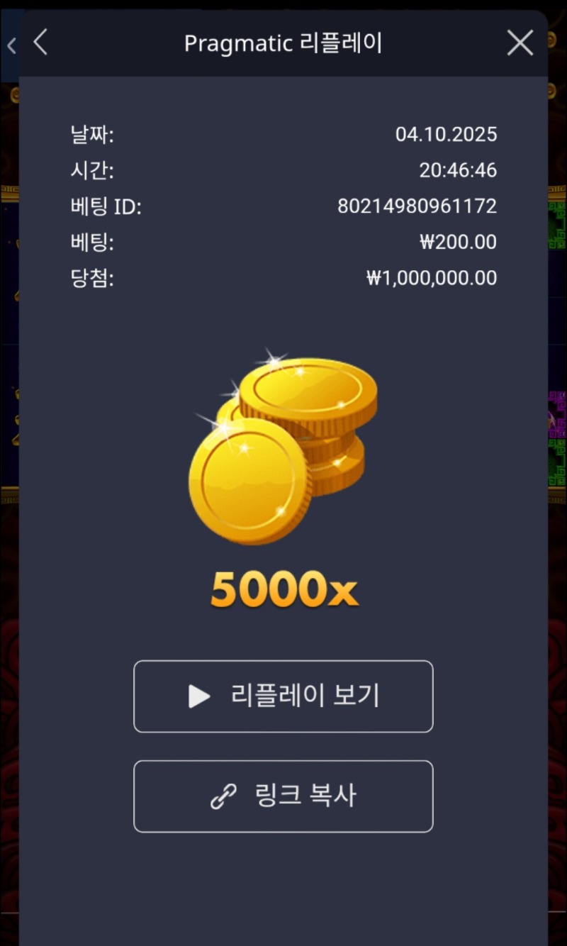 오라매 5000배