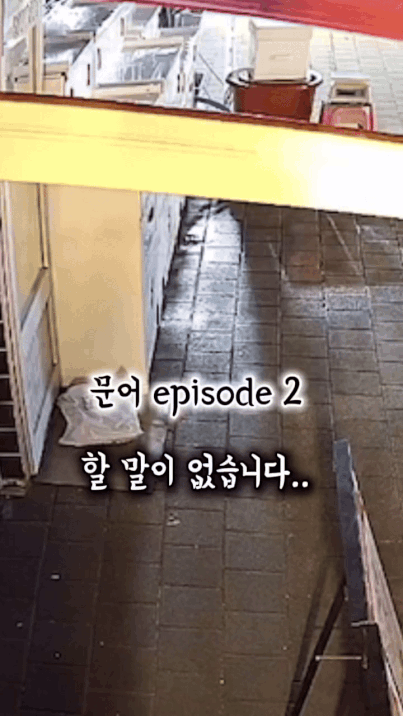 문어 도둑 맞아서 개빡친 사장님