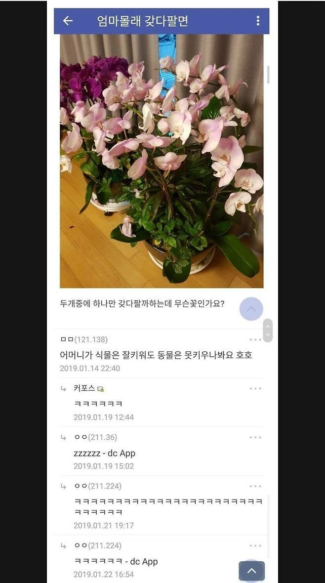 엄마의 화분을 몰래 팔려는 자녀