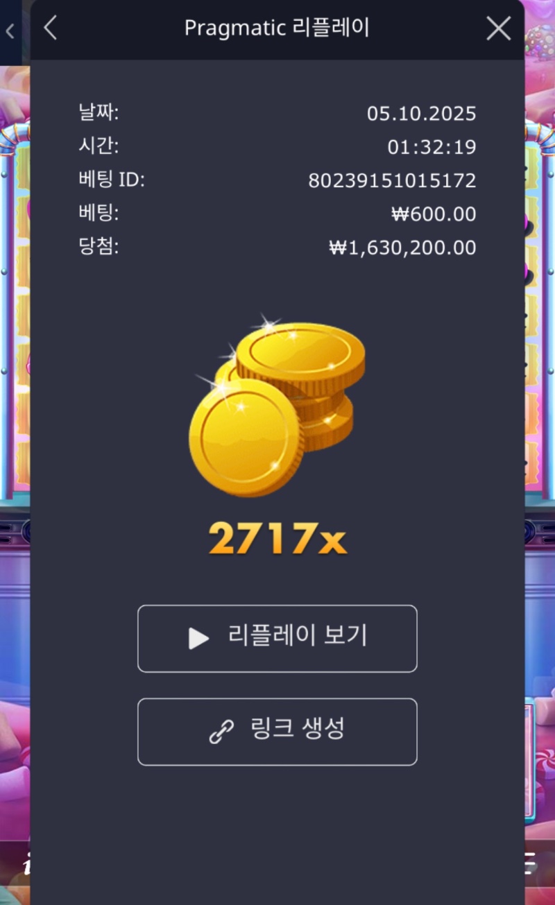 슈천 ::: 5개 일괄