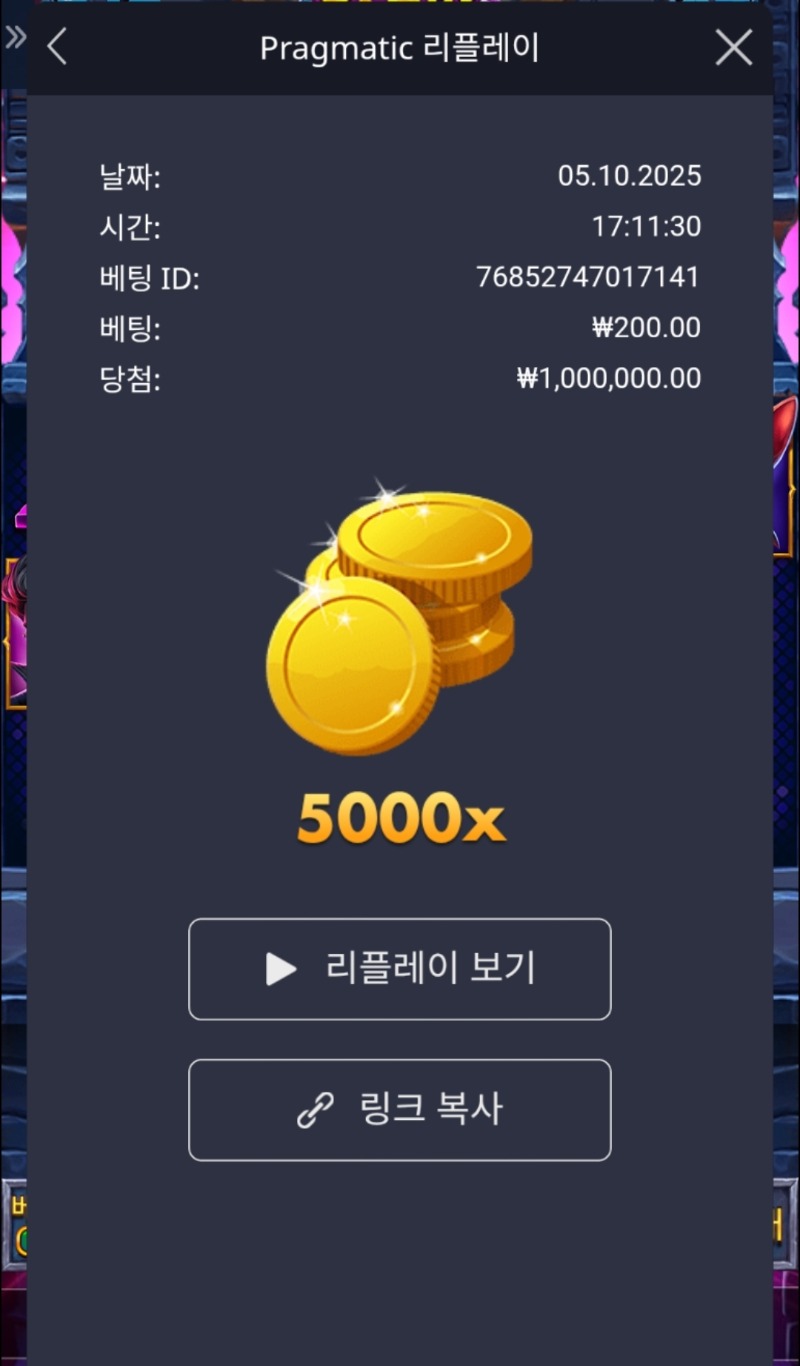 3일연속 맥스 성공