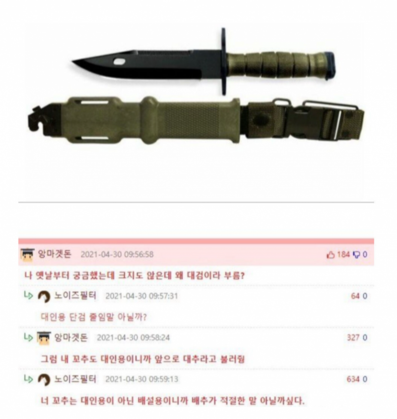 이름이 대검인 이유