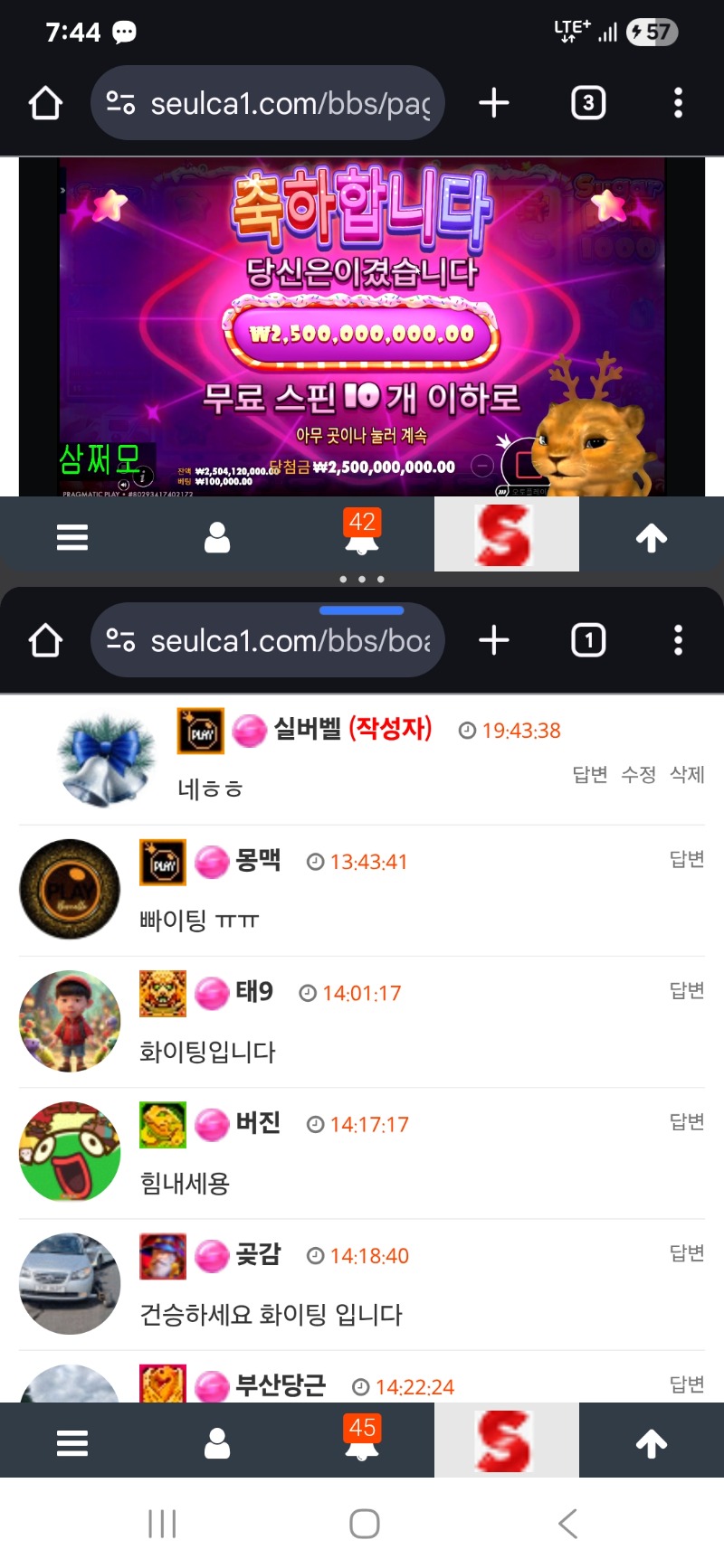 와 누렁이 축하해~~~