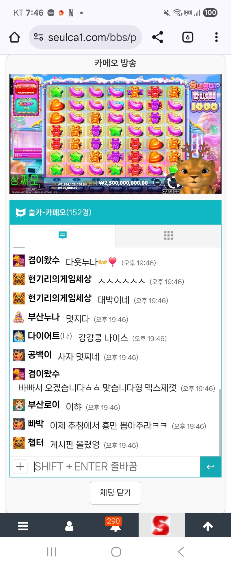 사자의 강강콩