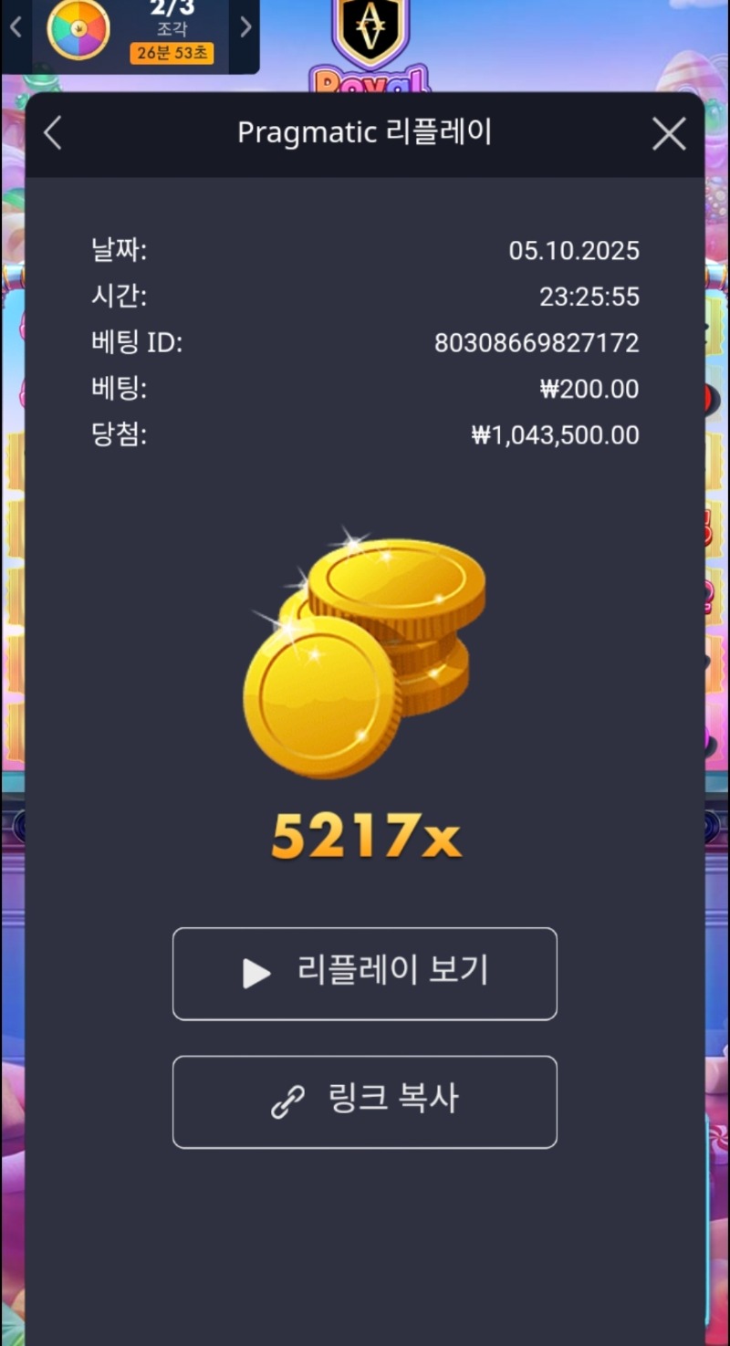 로얄슈천 5217