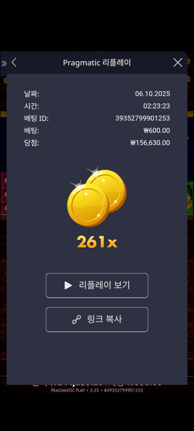 토라매 261배