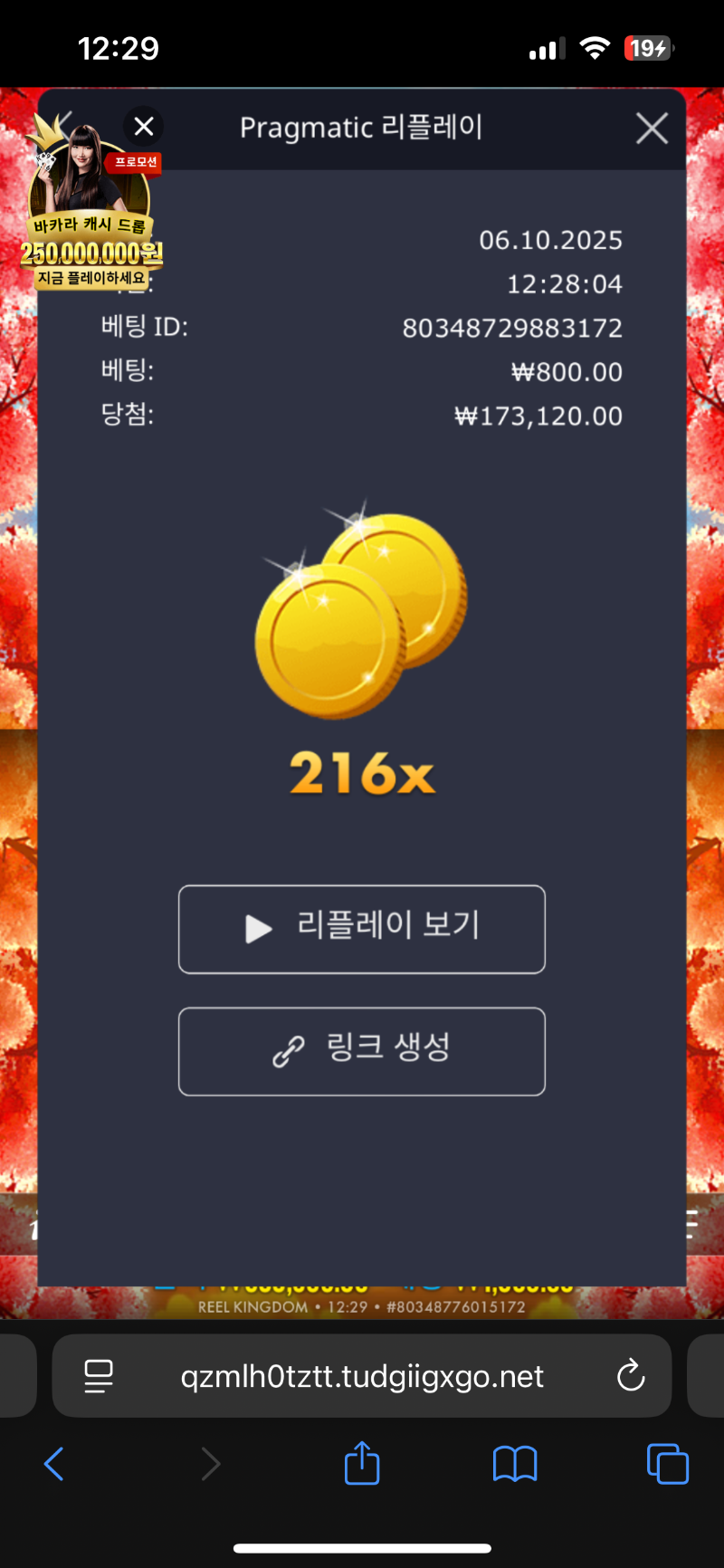 플로팅드래곤