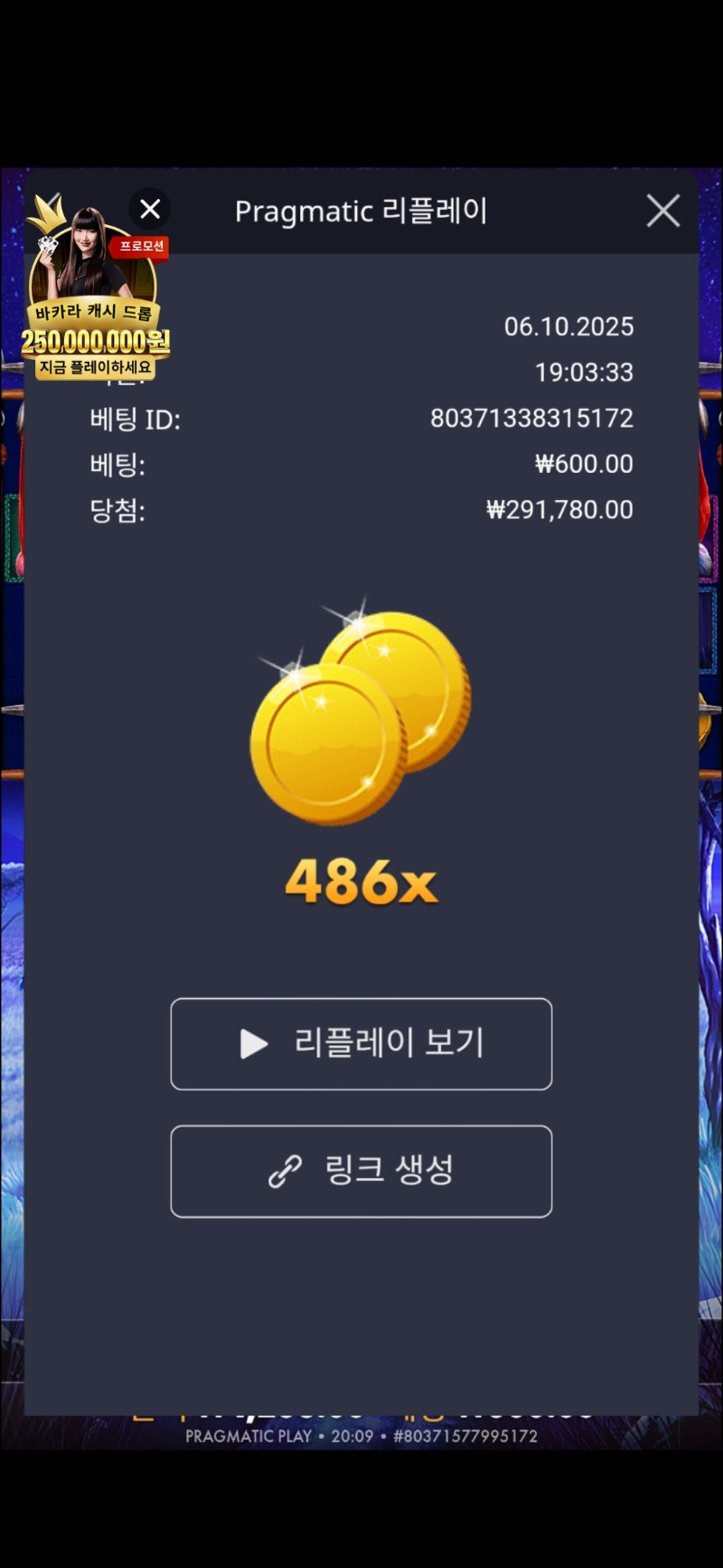 486배당
