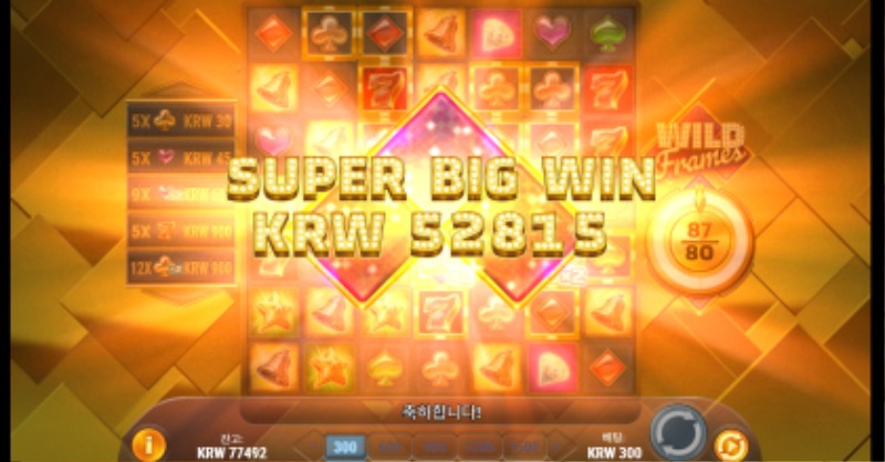 176배 와일드프레임