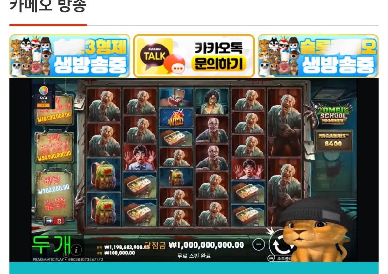 사자 좀스 맥스 ㅅㅅㅅ