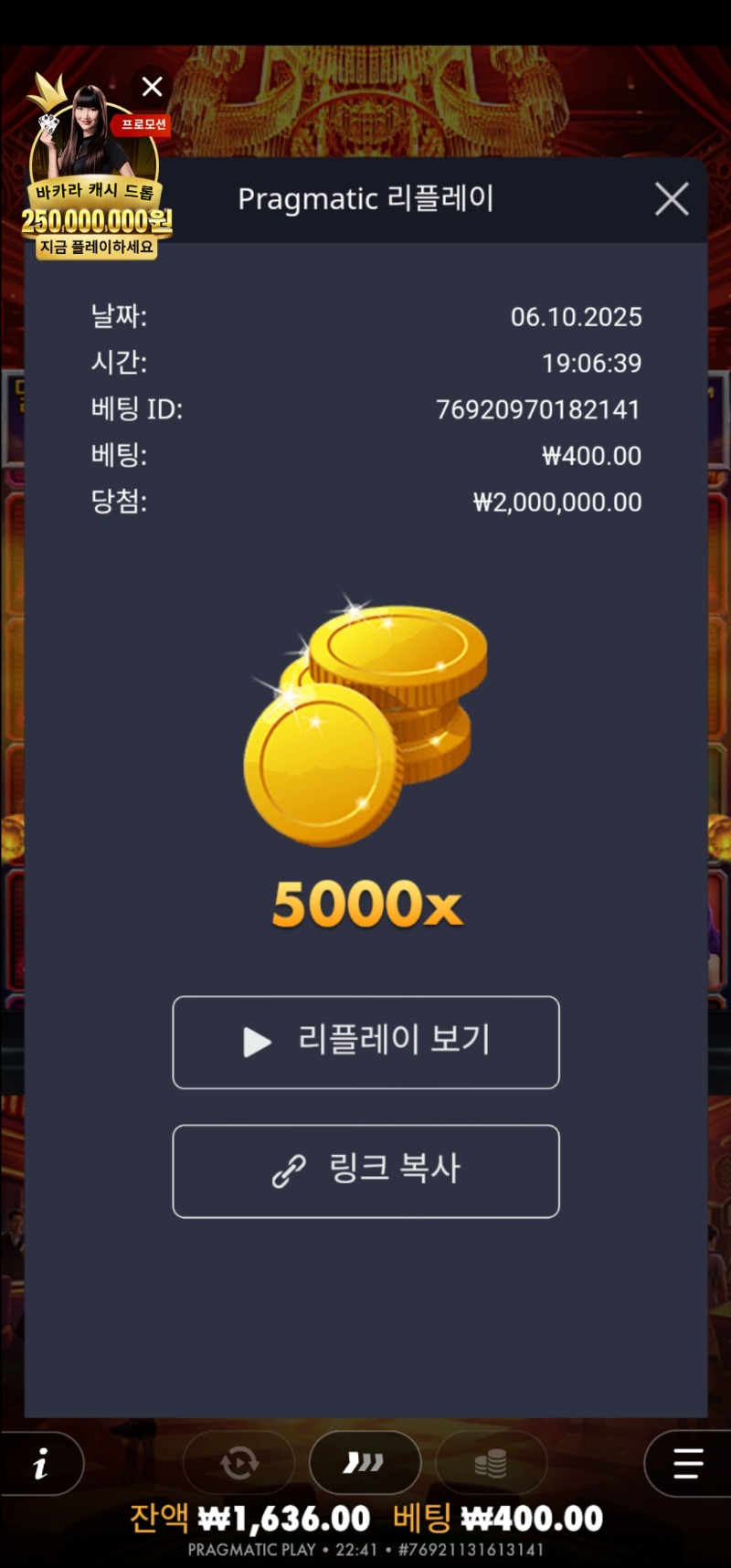 카지노 헤이스트 5000배