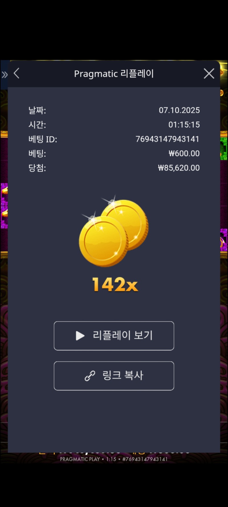 토라매 142배