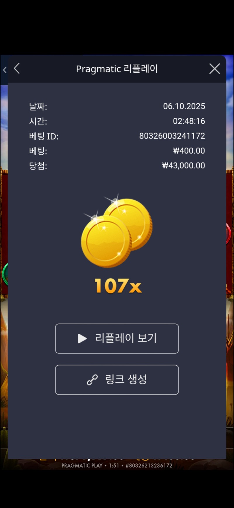 머스탱 트레일 107배