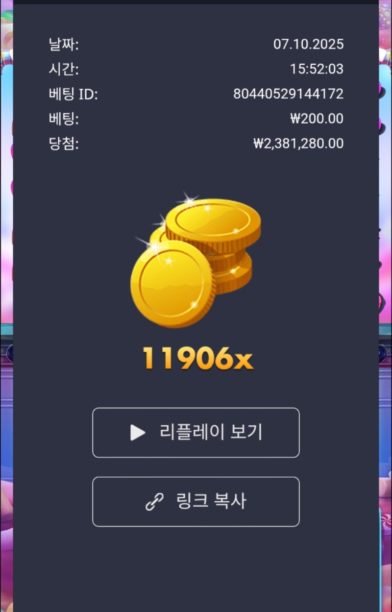 슈천 11906배