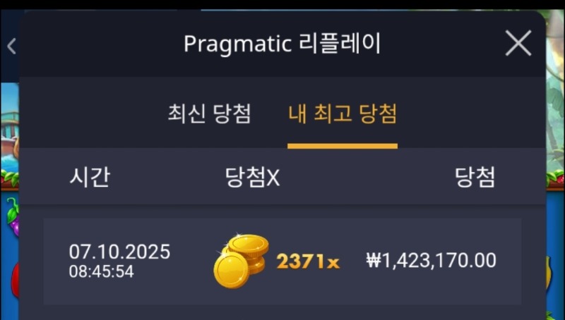 나인 와일드비치 2371배