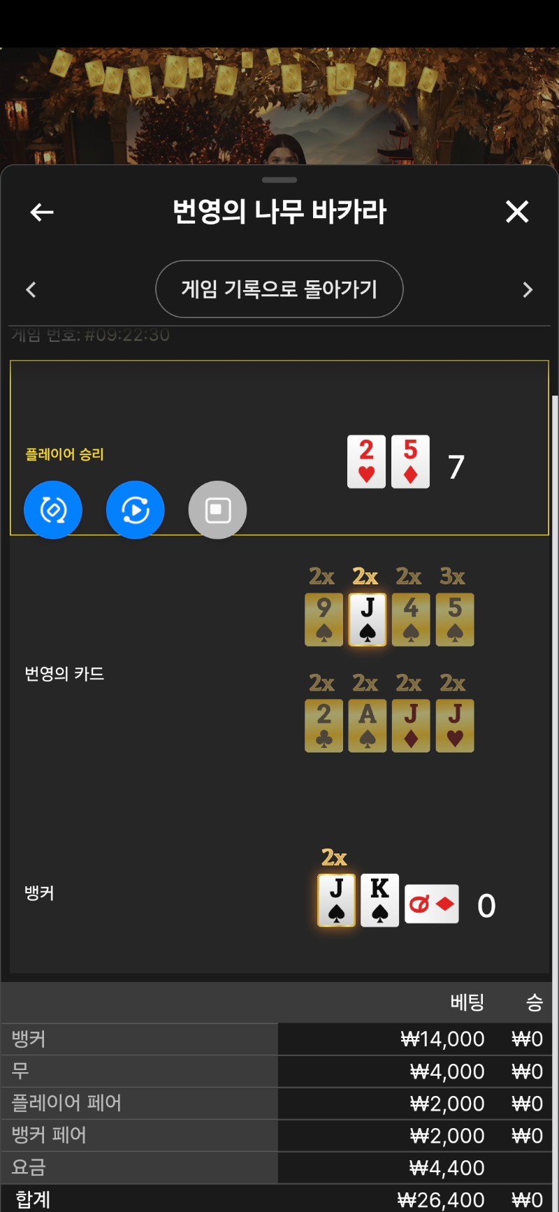 시경 카라