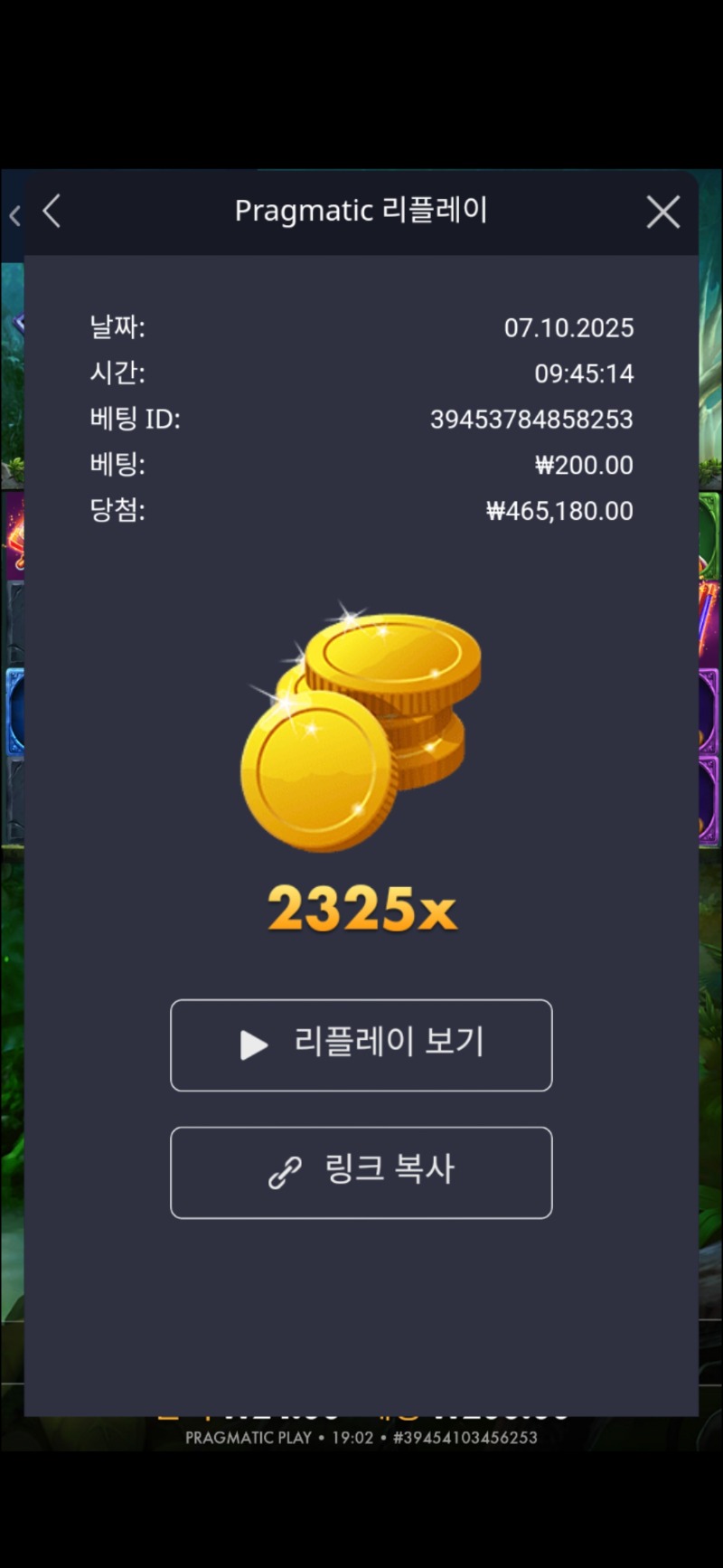 멀린 2325배
