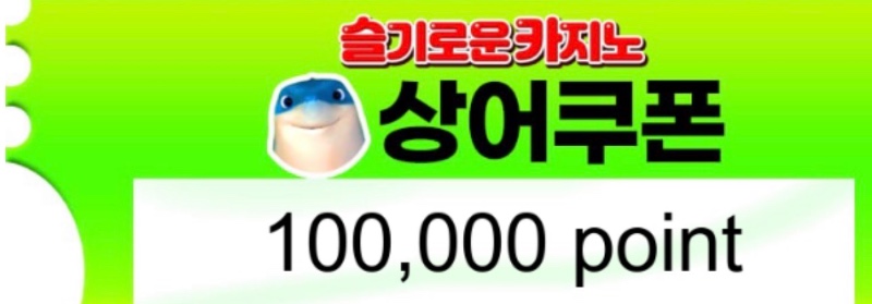 100연꽝 상품