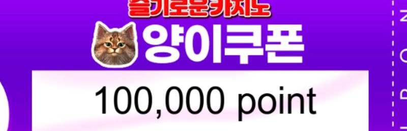 100연꽝 상품