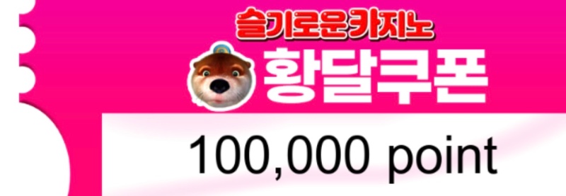 100연꽝 상품