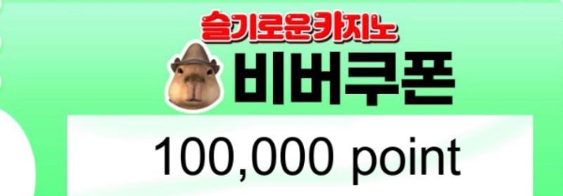 100연꽝 상품