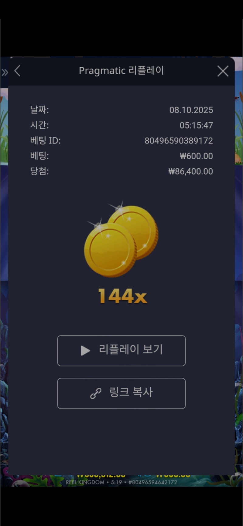빅베스홀드앤스핀 메가웨이즈 144배