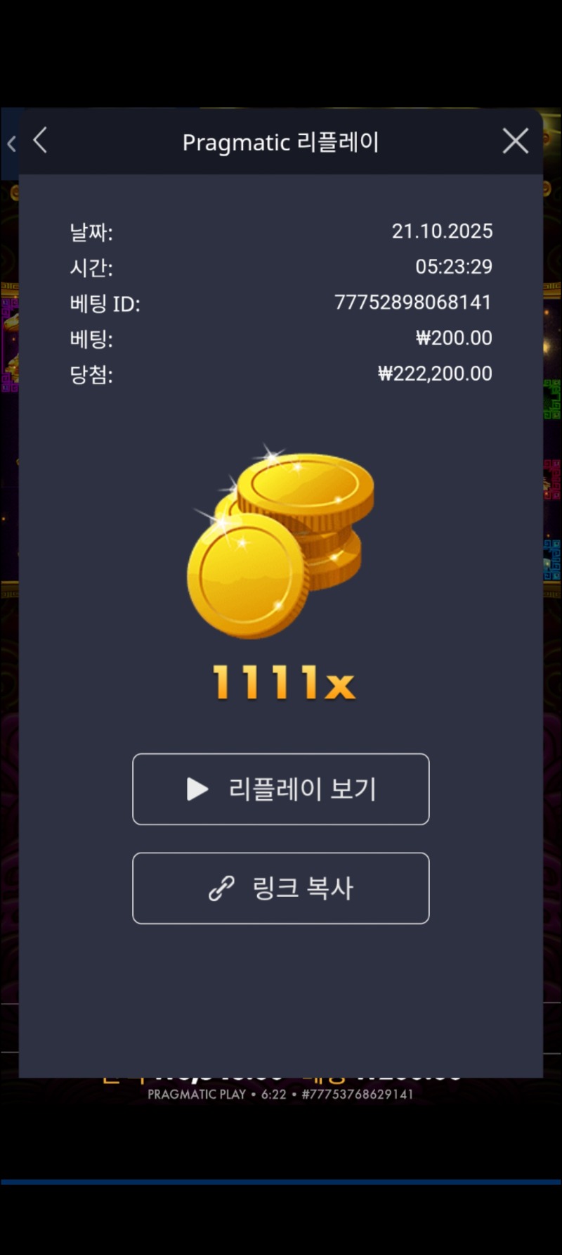 토라메 1111배