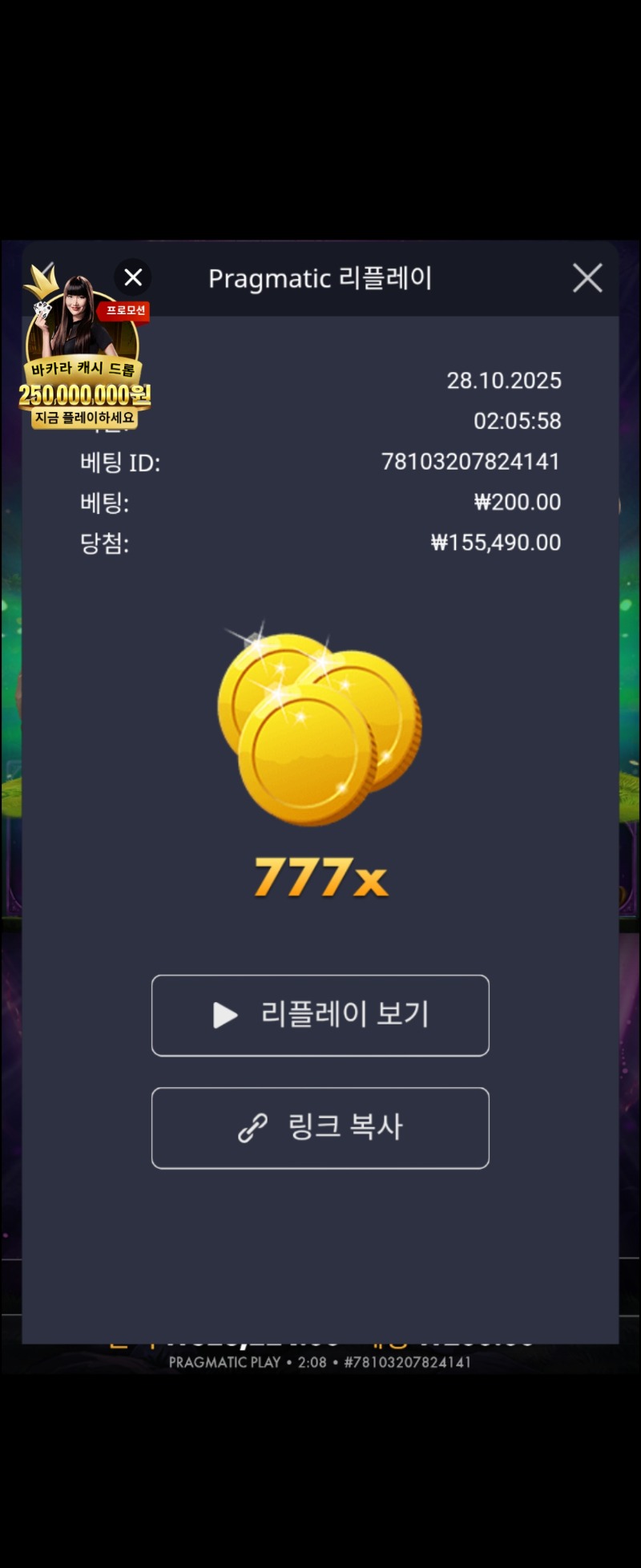 멀린 럭키 777배 신청